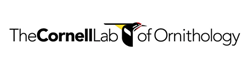 Cornell lab of ornithology